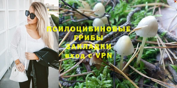 а пвп мука Касимов